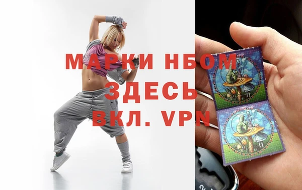прущие грибы Верея