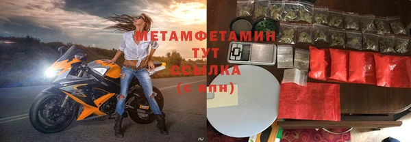 прущие грибы Верея