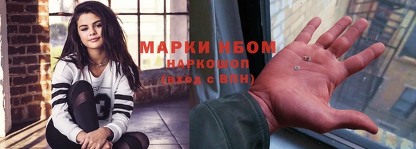 прущие грибы Верея