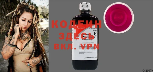 прущие грибы Верея