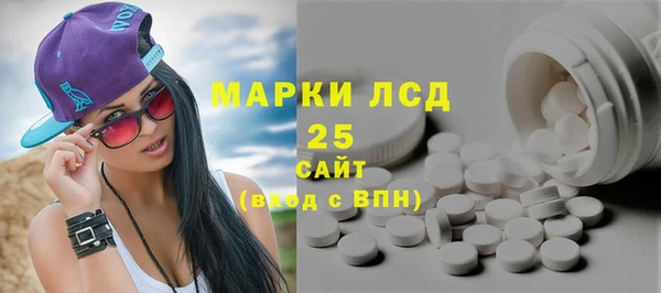 прущие грибы Верея