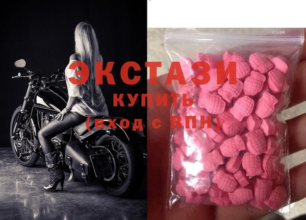 прущие грибы Волоколамск