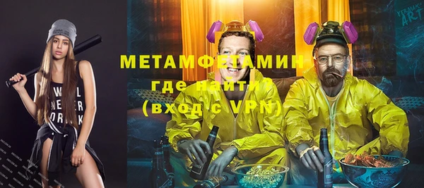 прущие грибы Верея