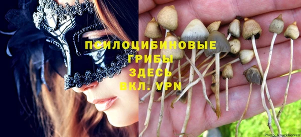 мет Верхний Тагил