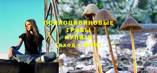 jwh Володарск