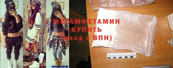 прущие грибы Верея