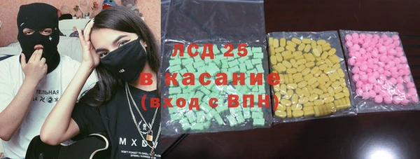 прущие грибы Верея