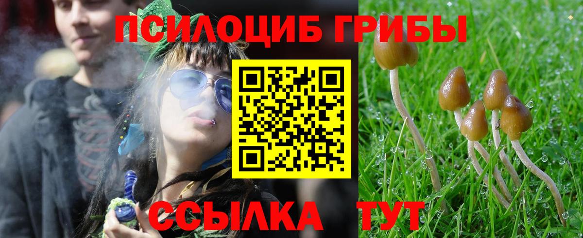Псилоцибиновые грибы мухоморы  Вход с VPN  Галлюциногенные грибы ЛСД  Славянск-на-Кубани 